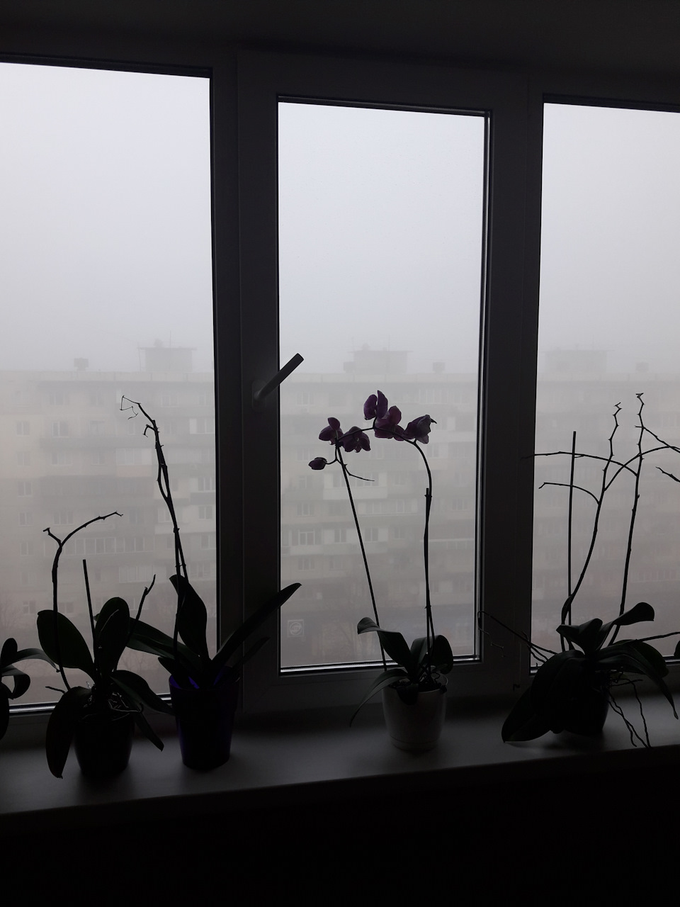 Рано, Ні, не думаю:) 1