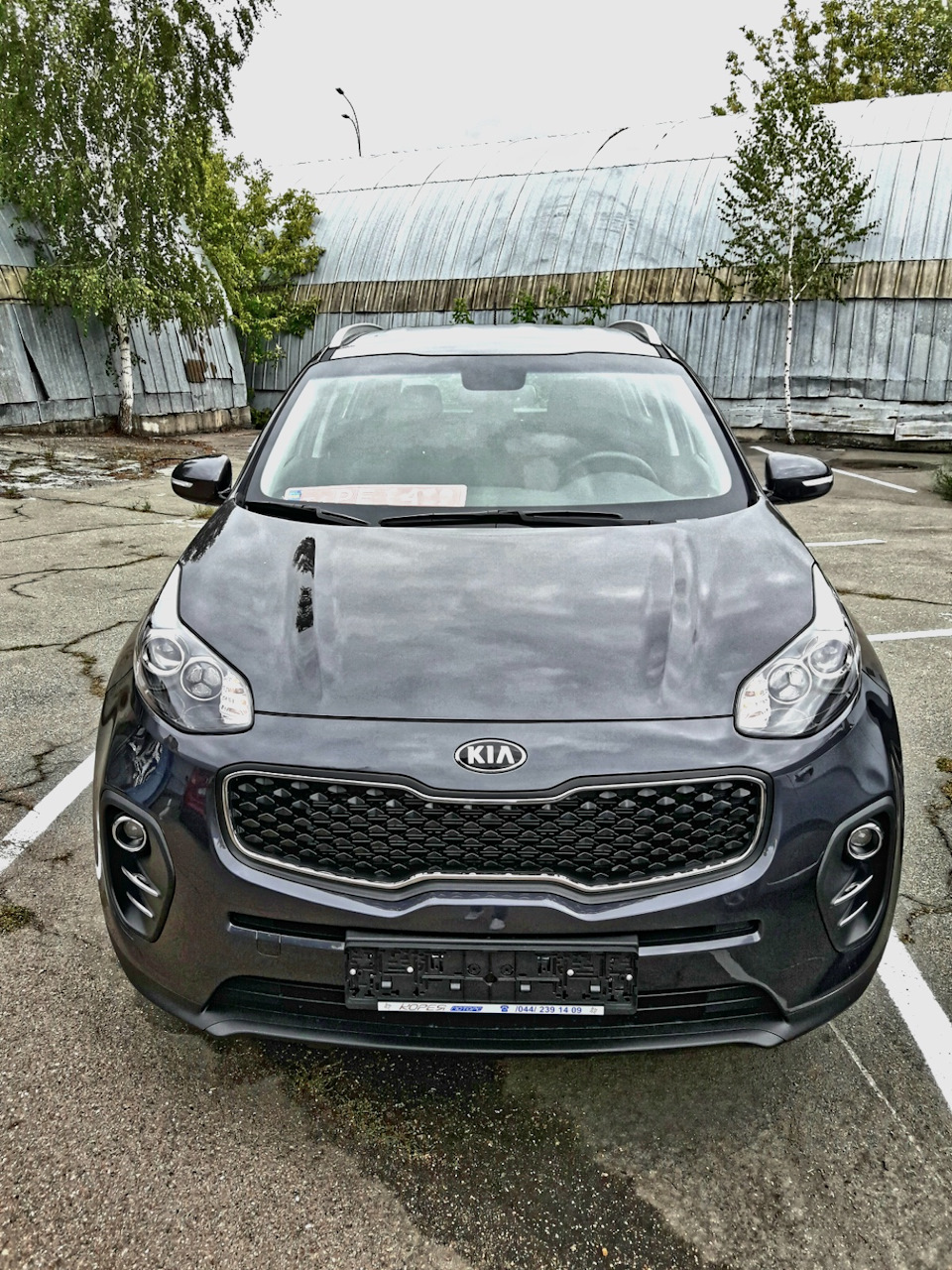 Запах нового авто 1