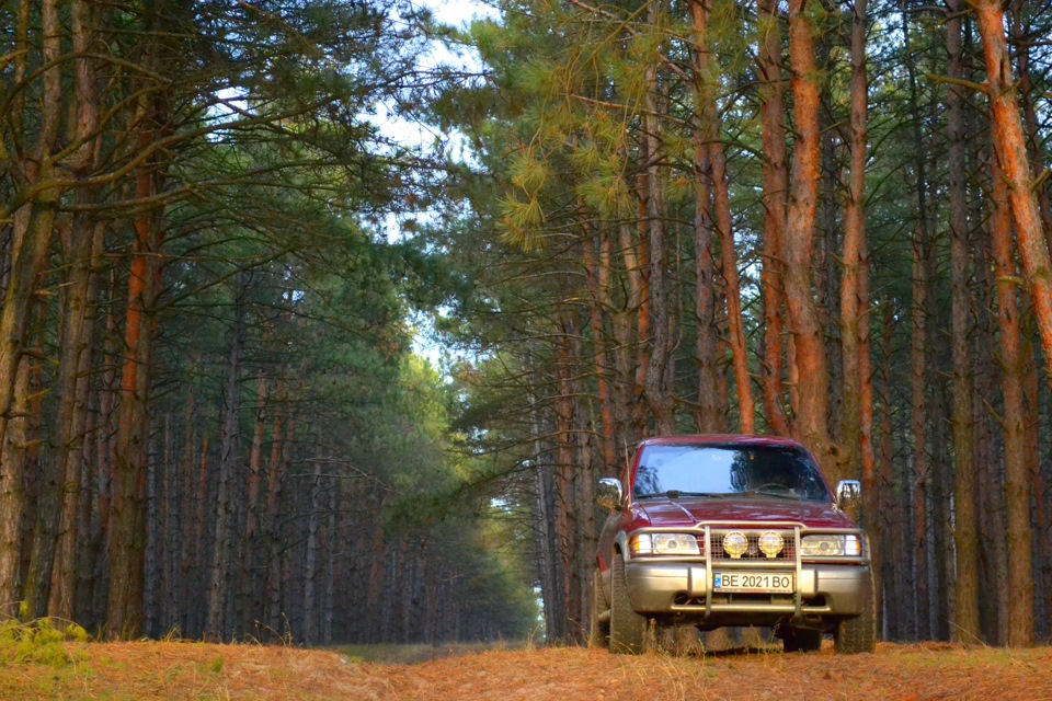 Вилазка до лісу 2