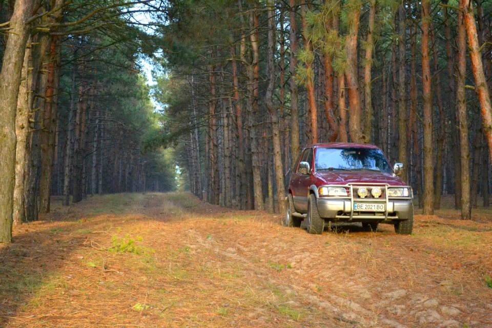 Вилазка до лісу 5