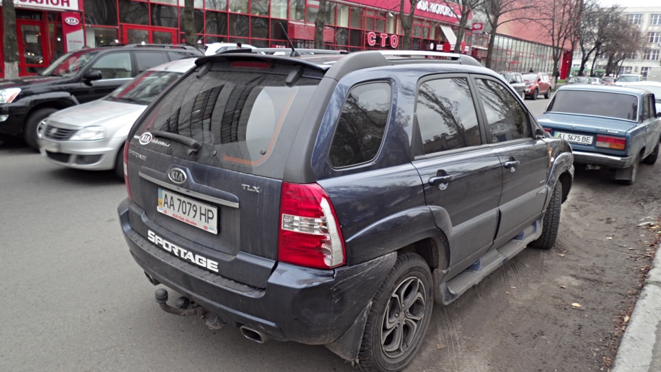 Дерево на дорозі :( 2