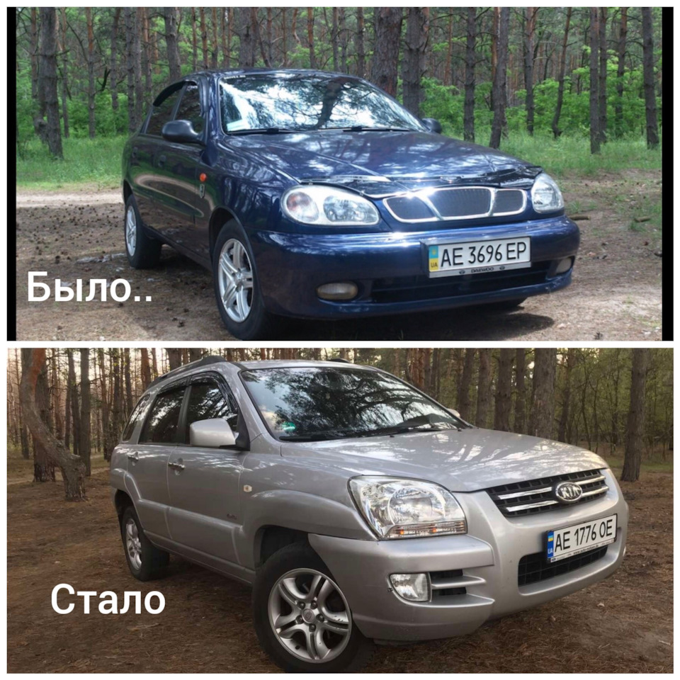 Природа, ліс, грибочки))) 1