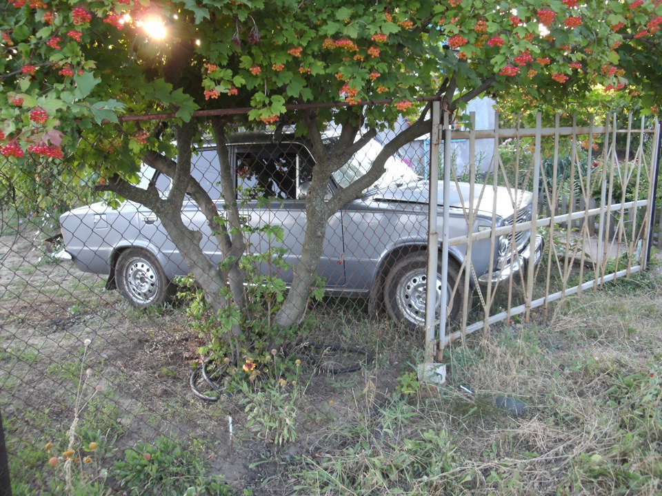 ми на дачі 5