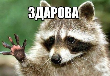 1000 и 1 запись) 1