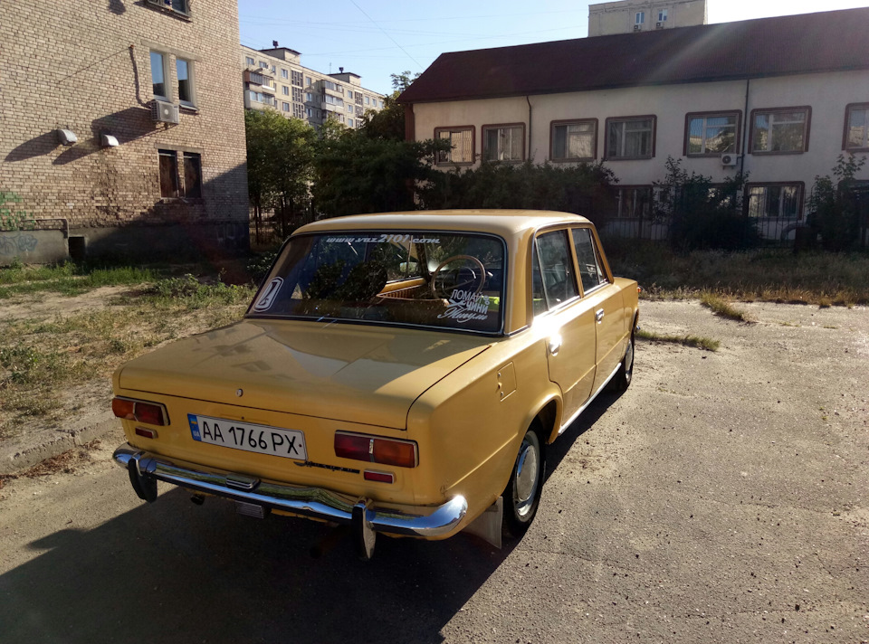 невелика фотосесія після миття та черговий ніштяк 5