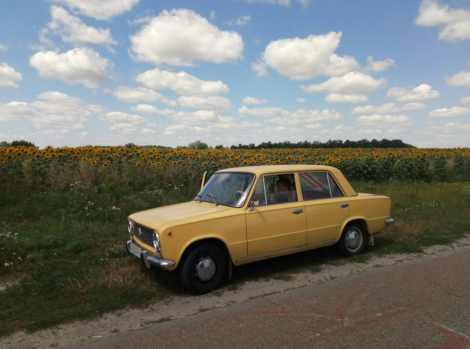 Частина 2 Буки 2