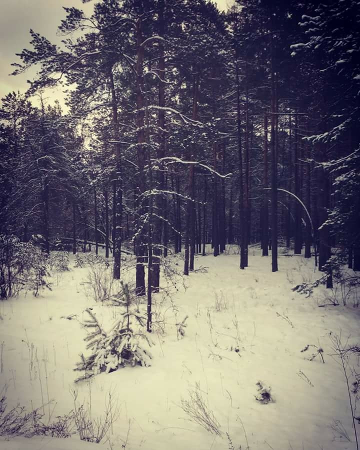 Поїздка за місто (Іванків) 4