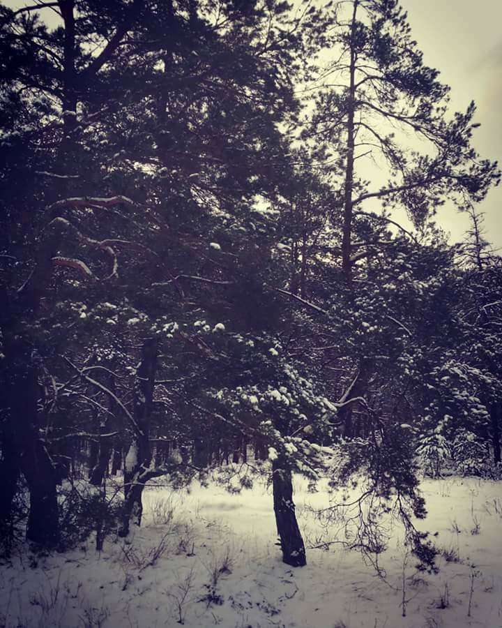 Поїздка за місто (Іванків) 3