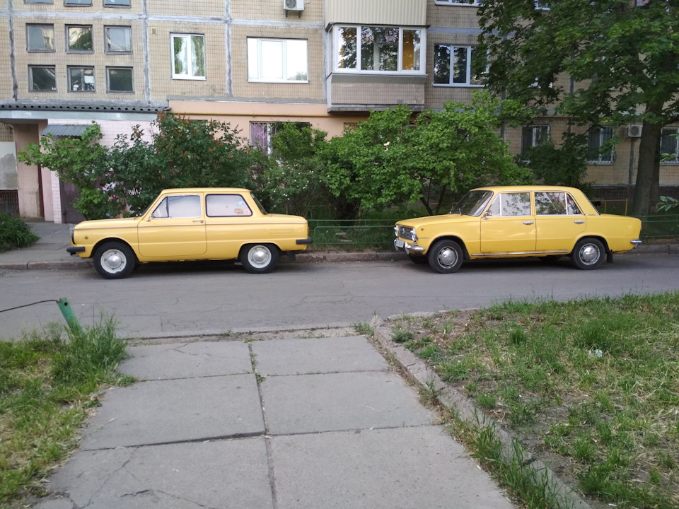 Знову зустріла молодшого брата 1