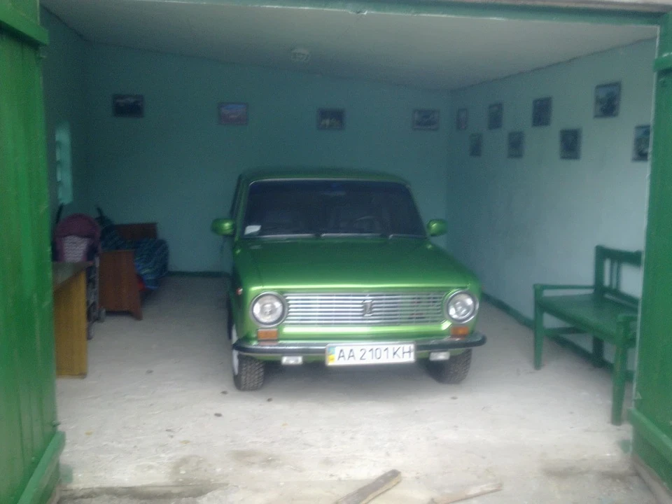 Зимова сплячка