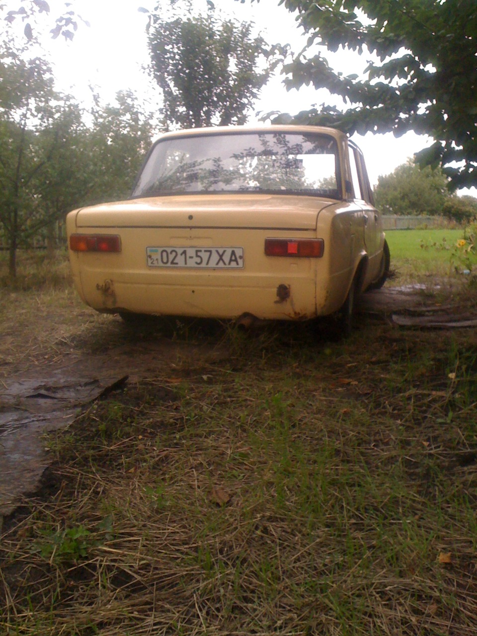 Свіжак) 3