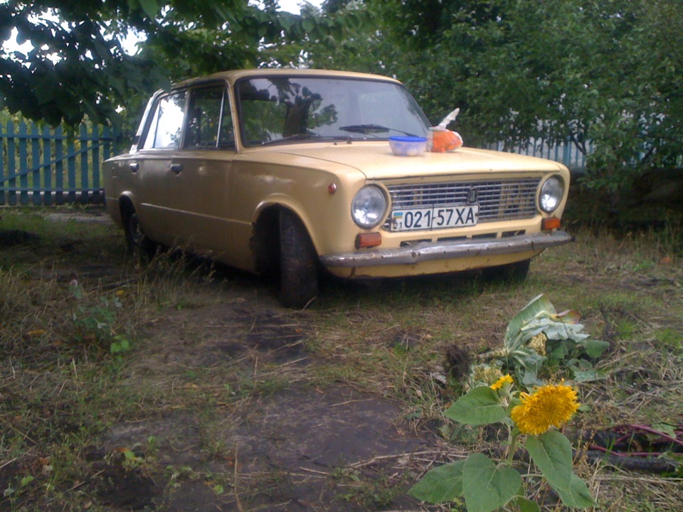 Свіжак) 5