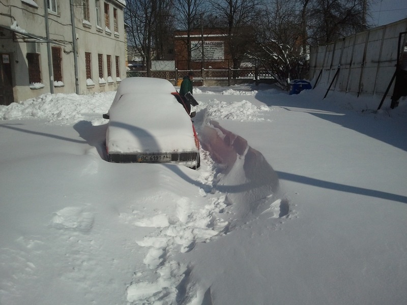 Весна прийшла 1