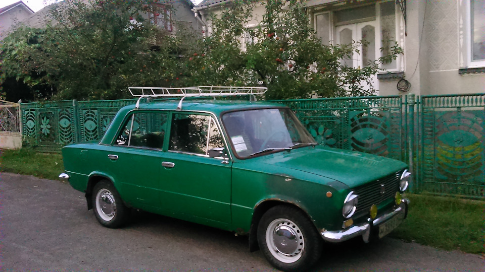 Нові фото з туманками 5