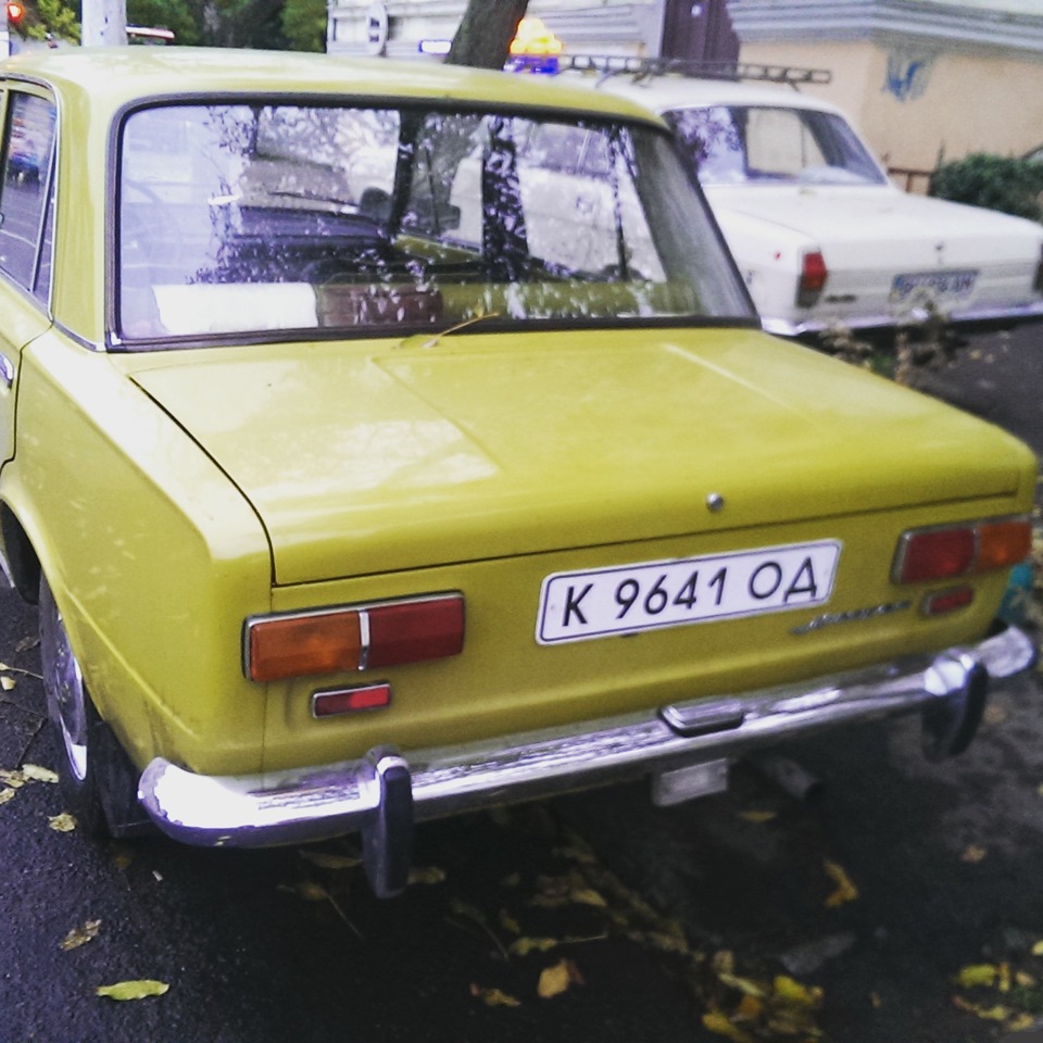 Трохи знялися в кіно 4