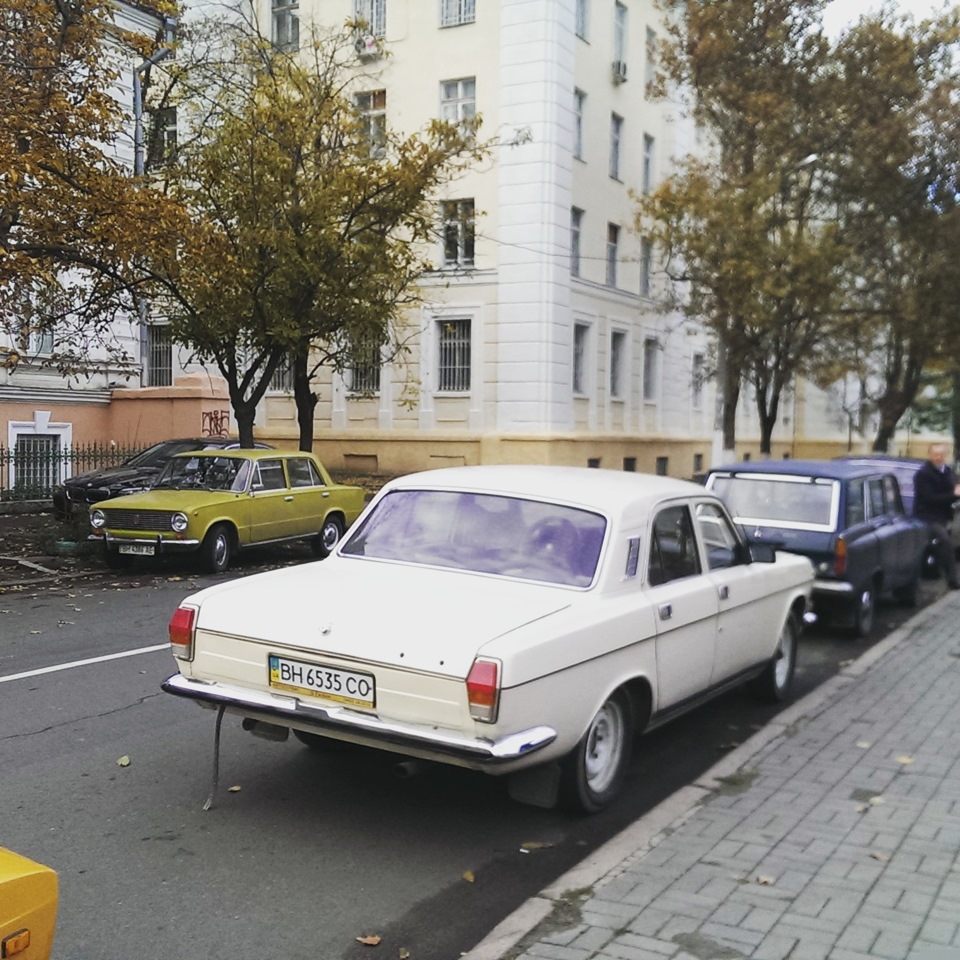 Трохи знялися в кіно 5