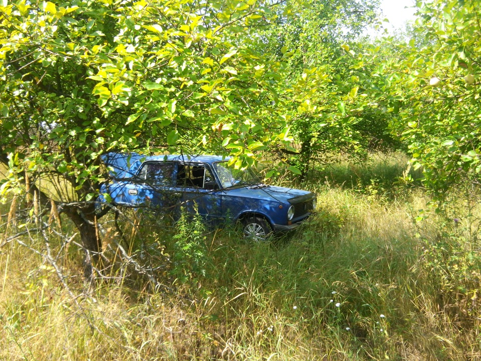 Яблука)) 3