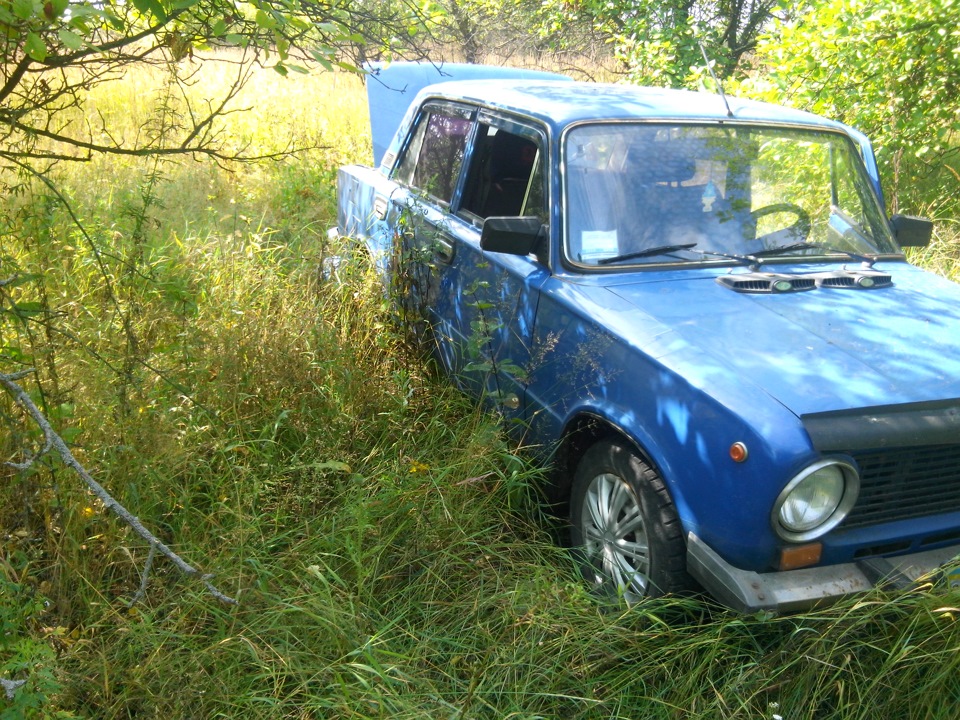 Яблука)) 2