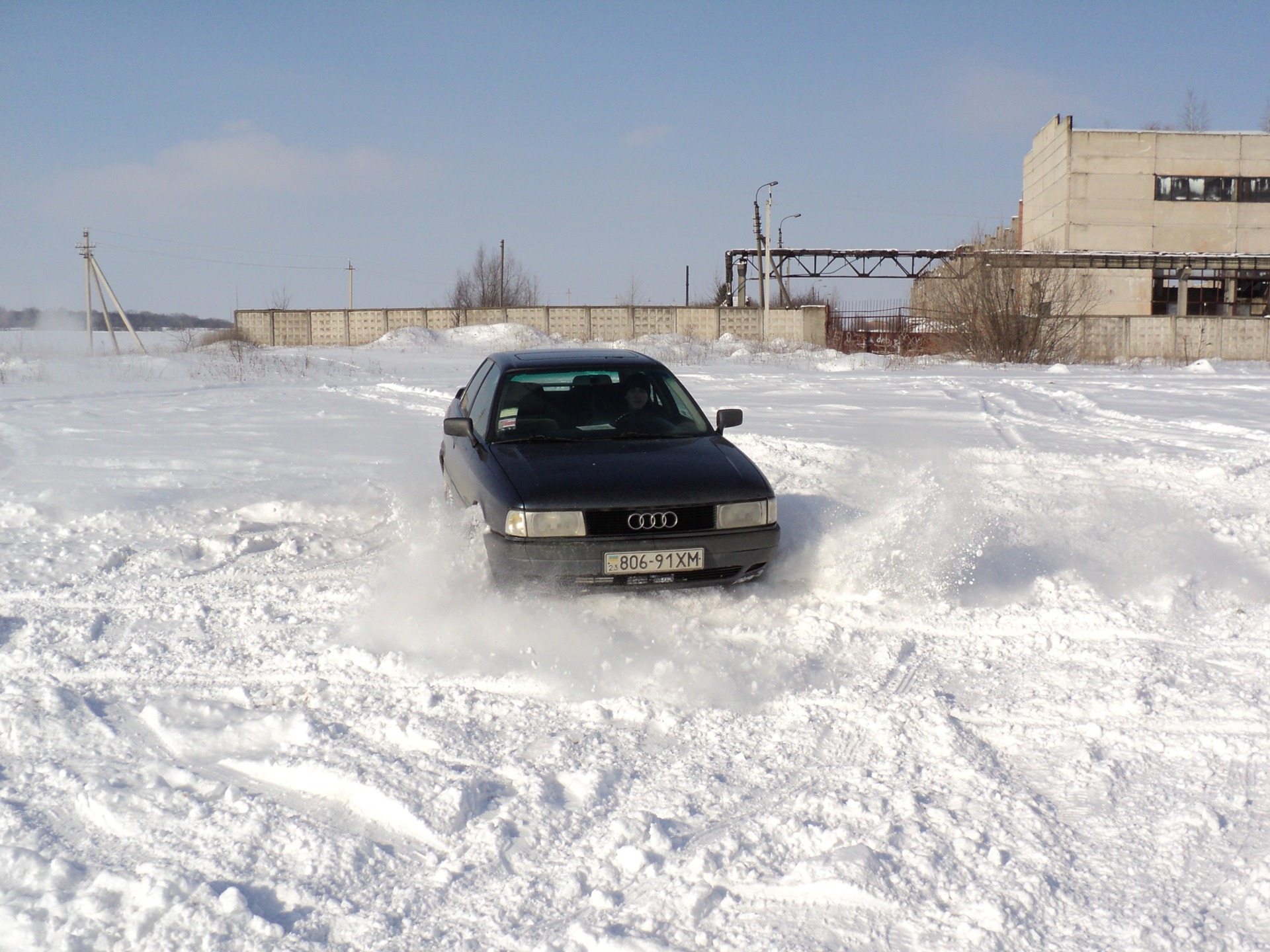 Покотушки! 5