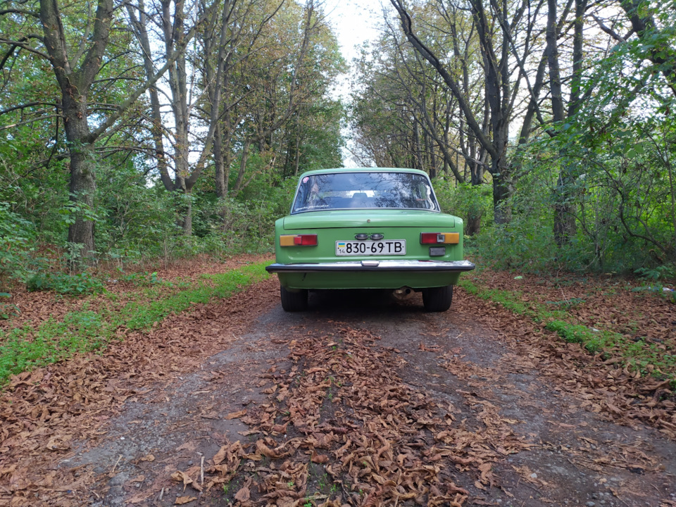 Невелика фотосесія bed berry 3