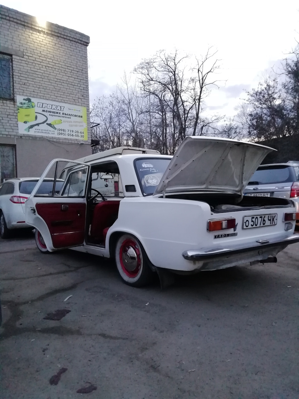 Вот и всё, белка ускакала. 2