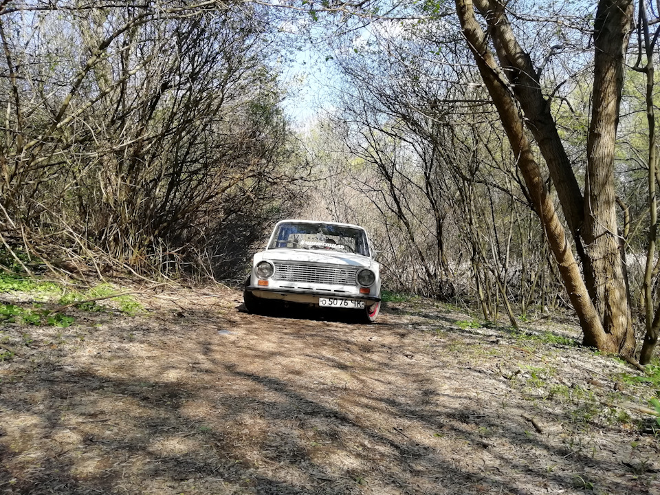 Вот и всё, белка ускакала. 5