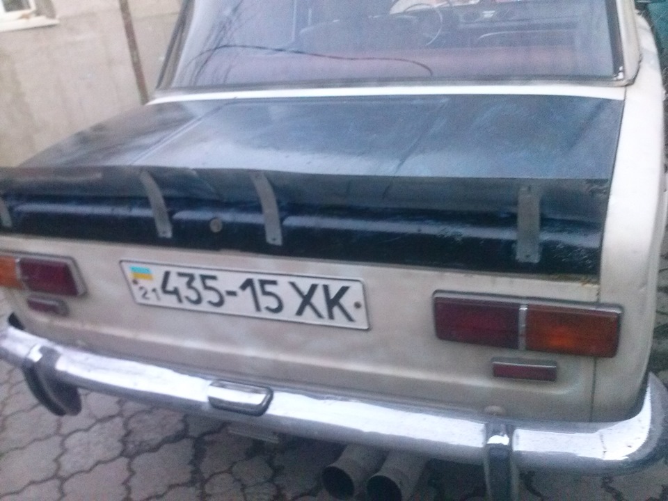 Хвостик 1