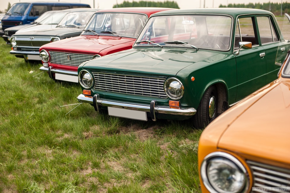 Львівська масова фотосесія 2015 5