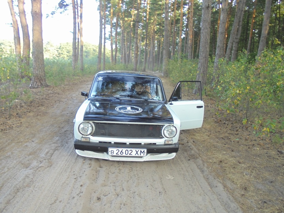 поезтка в ліс 3