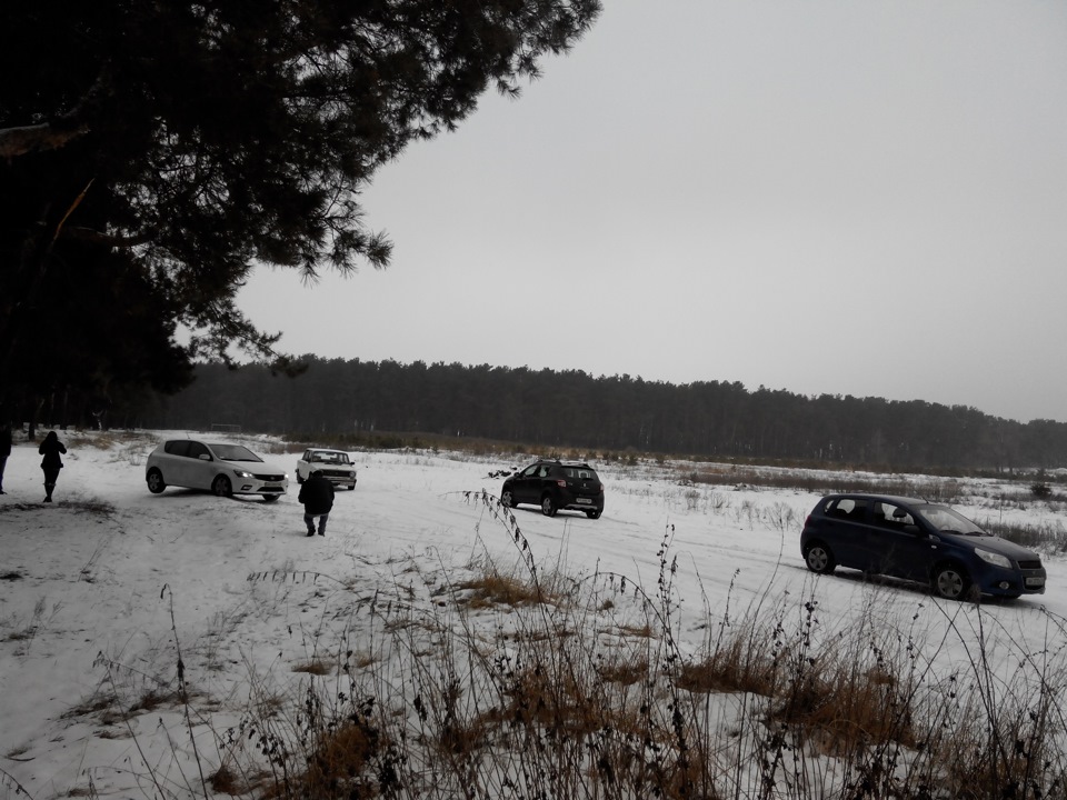 29.01.2015 4