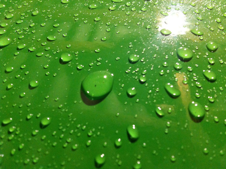 Green Apple у новому кольорі) 5
