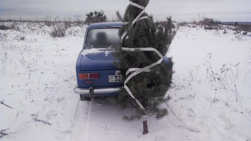Їздив за ялинкою))) Усіх з наступаючим))) 4