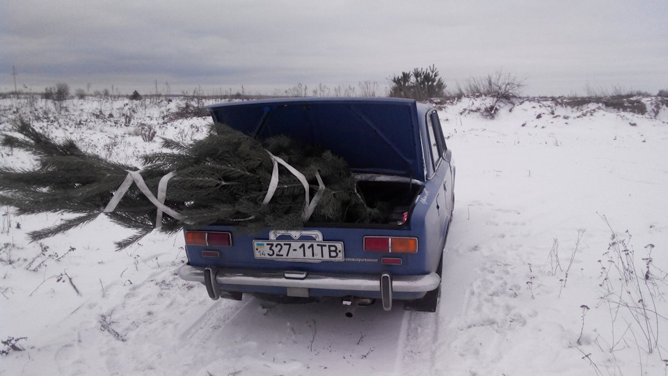 Їздив за ялинкою))) Усіх з наступаючим))) 1
