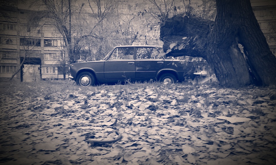 Осенняя фотография 2