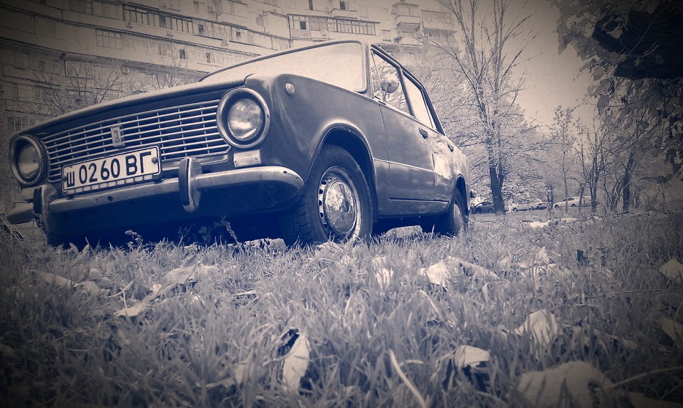 Осенняя фотография 3