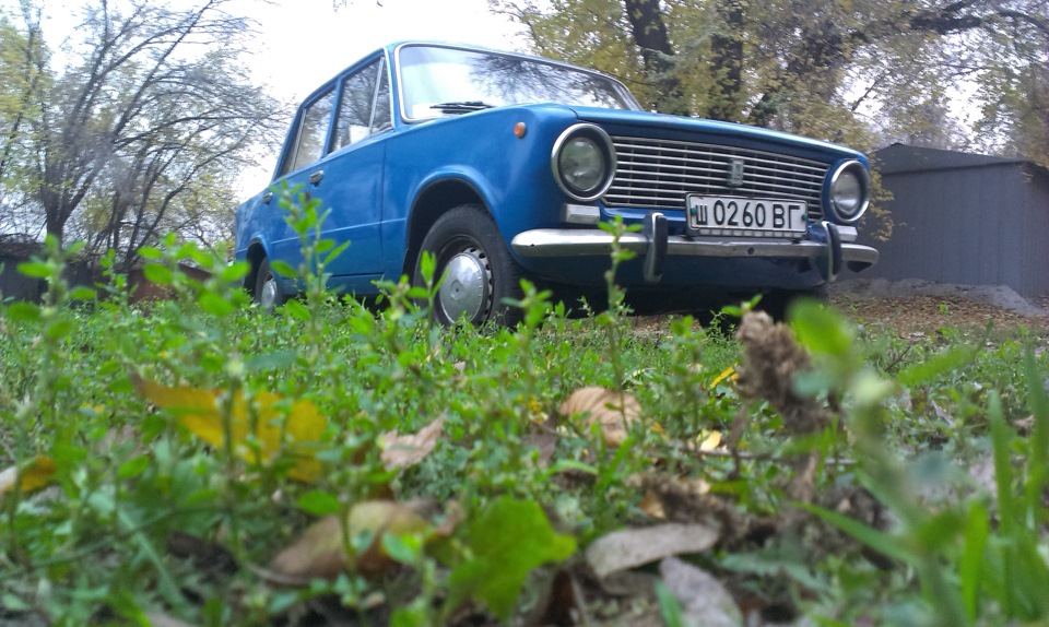 Осенняя фотография 5
