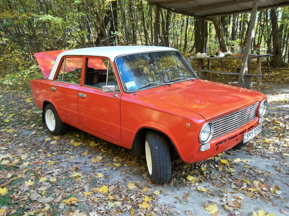 Трохи осені 5