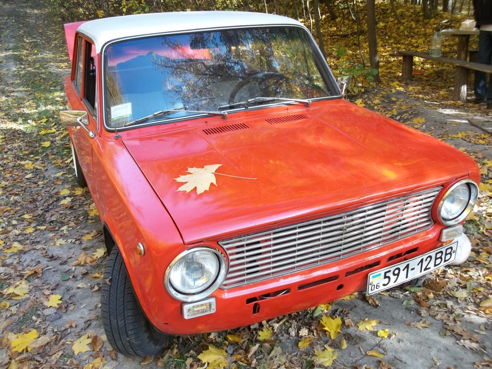 Трохи осені 4