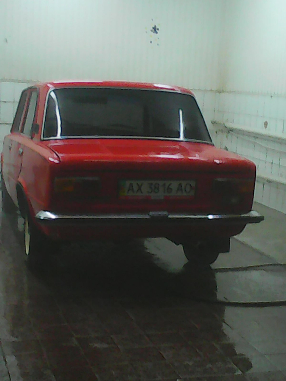 Фото з миття 5