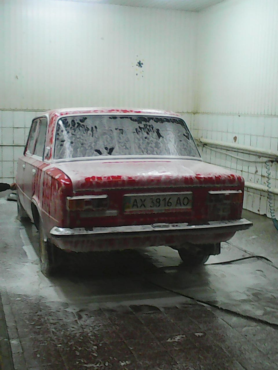 Фото з миття 3