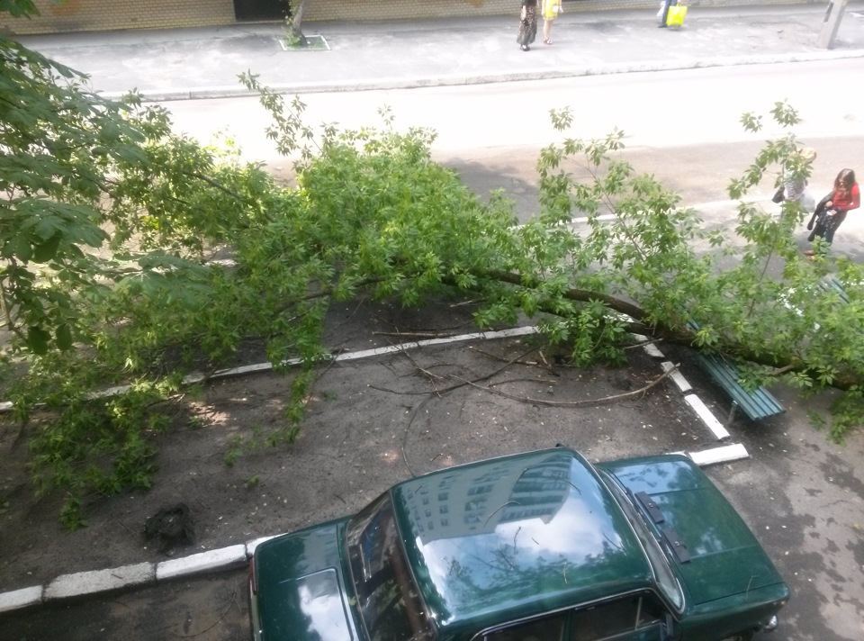 щасливчик) 1