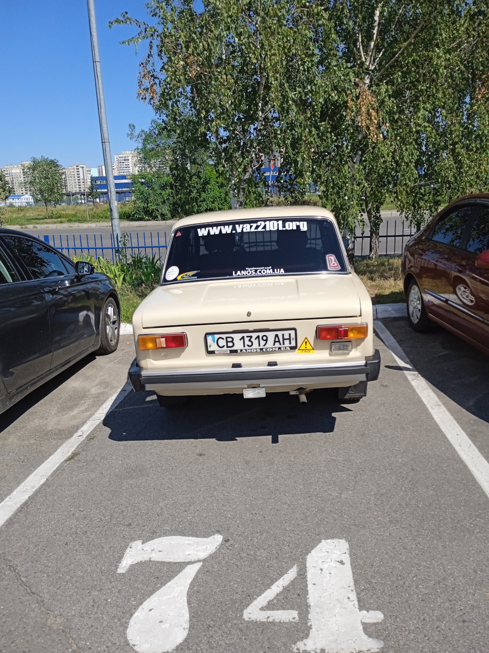 За орхідеями тільки на Ластівці! 3