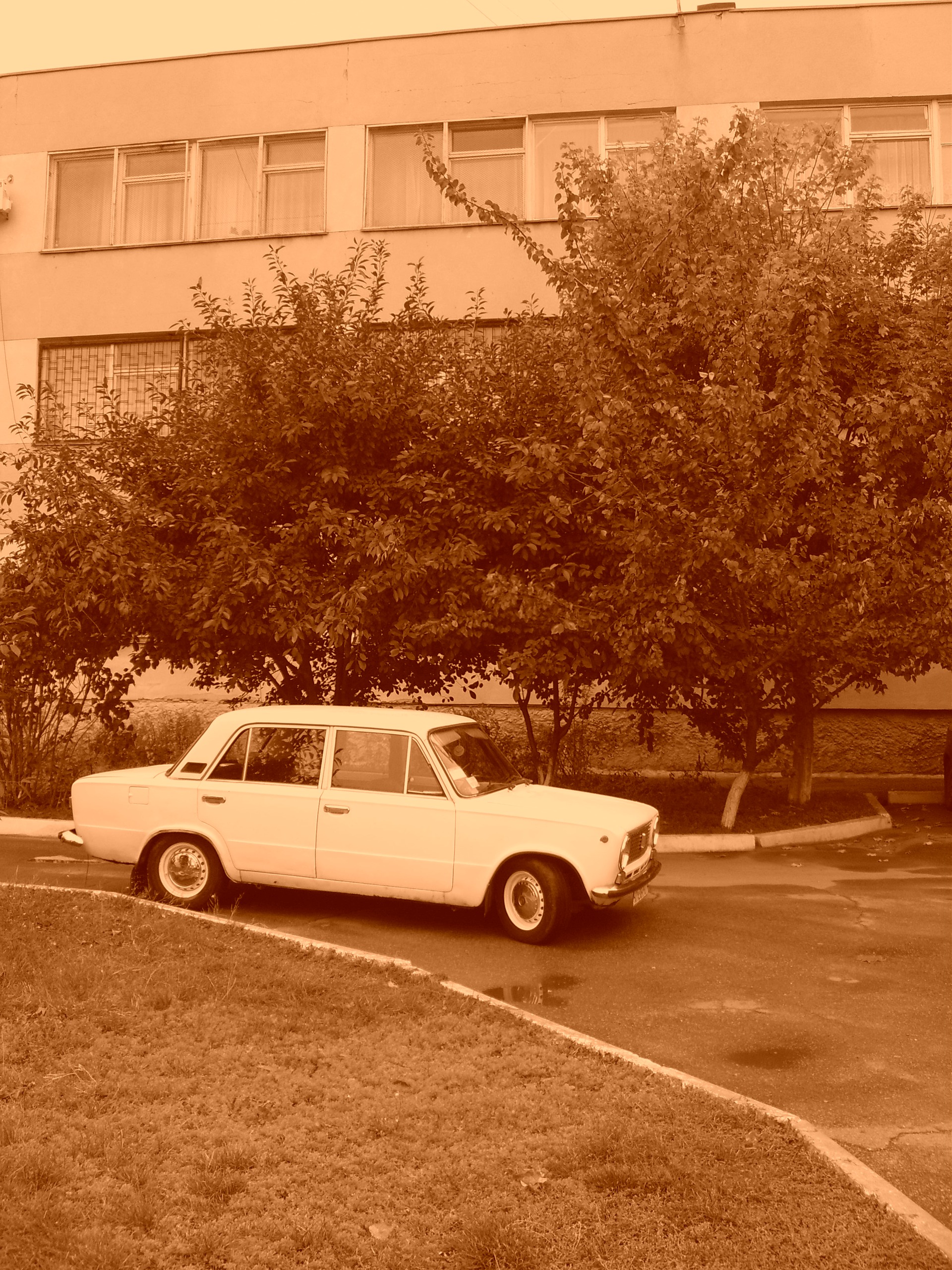 пару чорнобілих пару кольорових 3