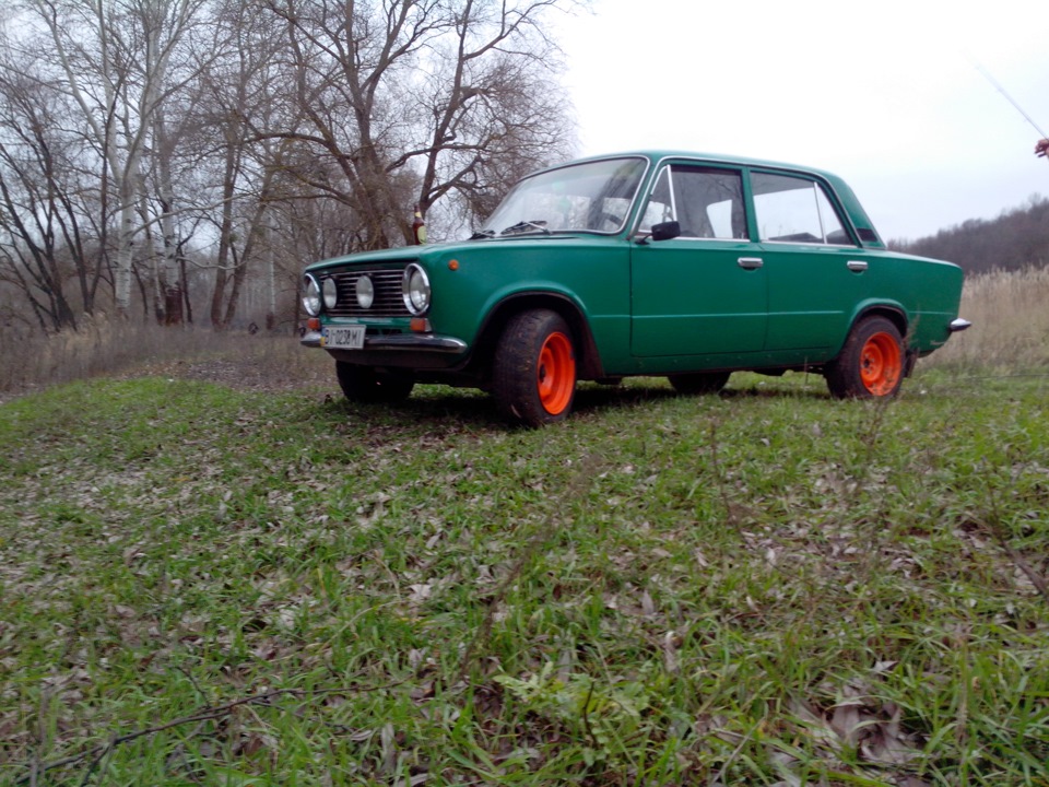 Фото на природі) 4