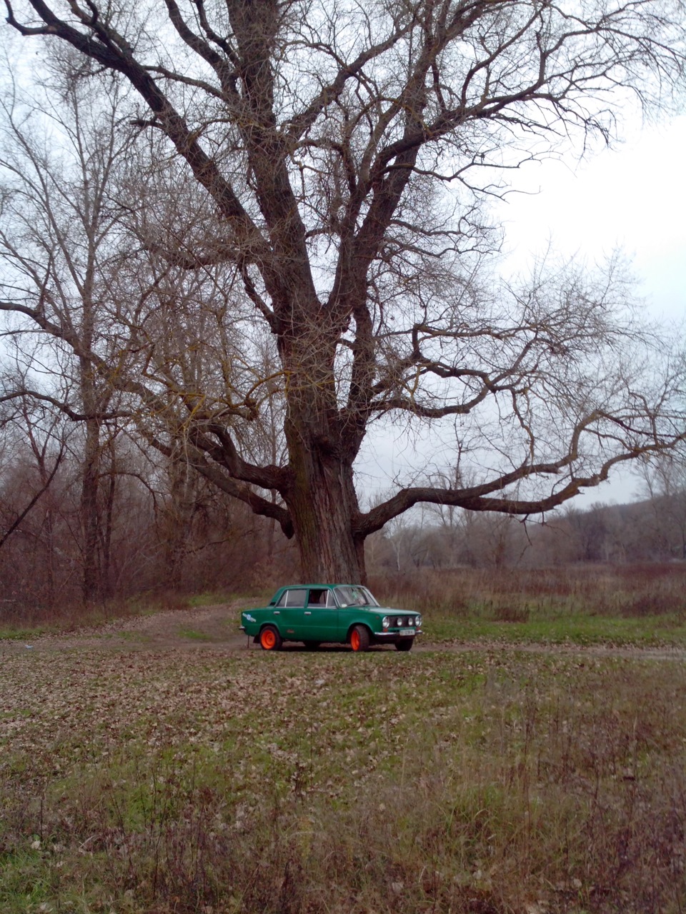 Фото на природі) 1