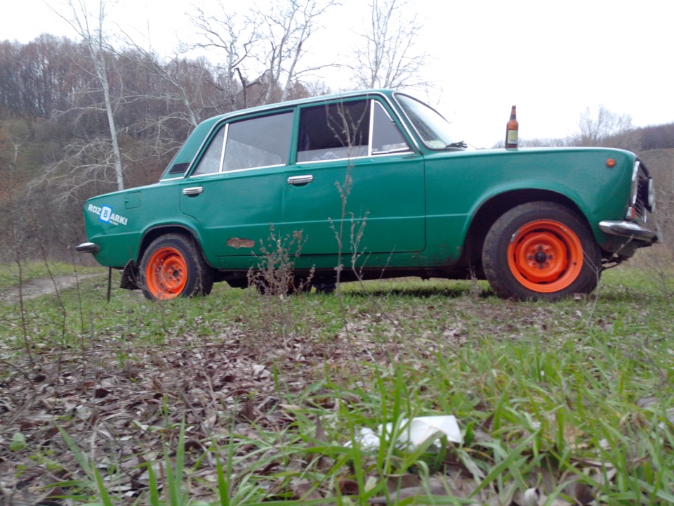 Фото на природі) 5