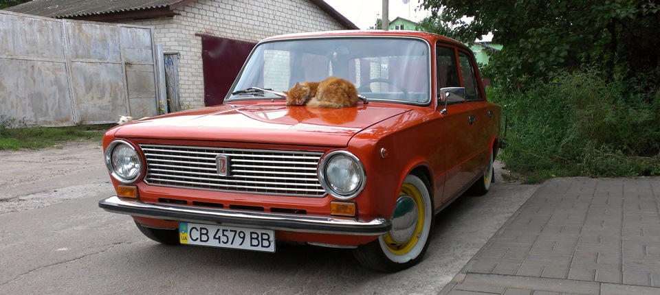 Мій сусід 1