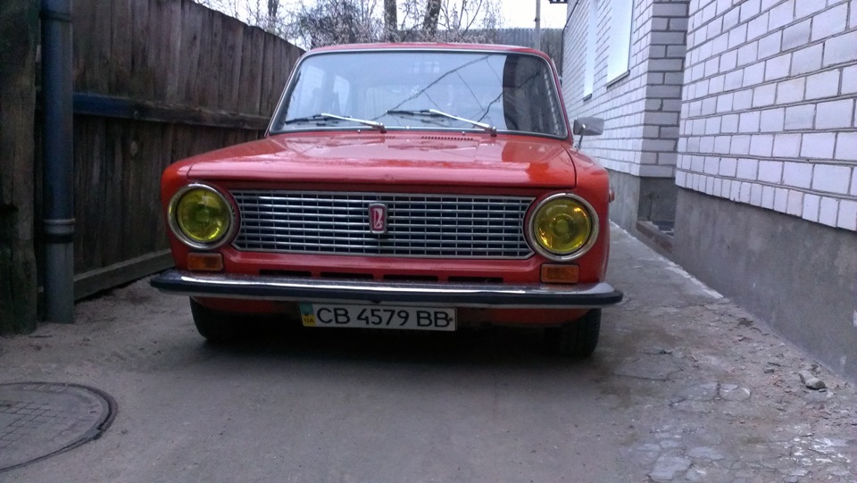 Жовтоокий 1