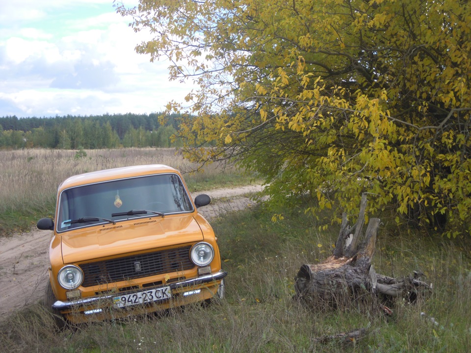 Осінь на мандаринці 3