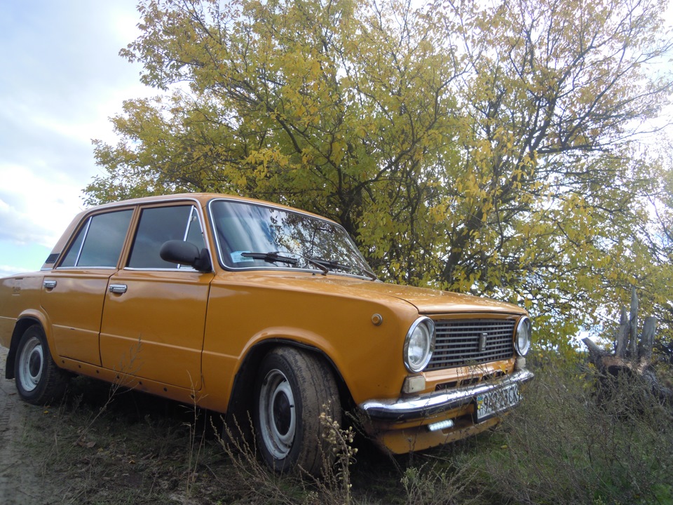 Осінь на мандаринці 5